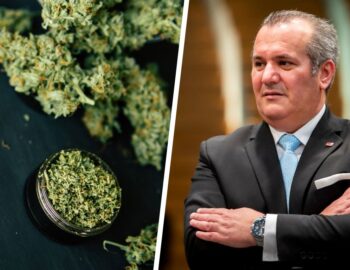 L-ebda ħaddiem m’għandu jiġi preġudikat għax ikkonsma l-kannabis b’mod responsabbli