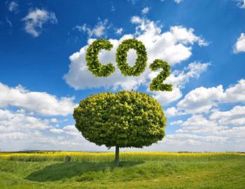 Il-GWU tingħaqad bħala sieħeb ewlieni fil-proġett imsejjaħ GREENET